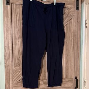 American Eagle Outfitters Navy Joggers